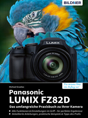 cover image of Panasonic LUMIX FZ82D